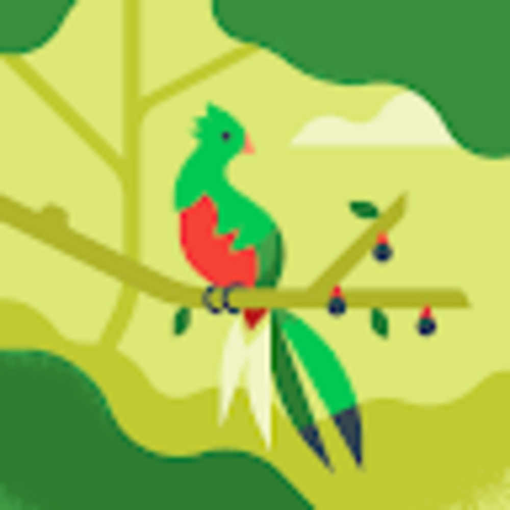 Meet your Posher, Veri